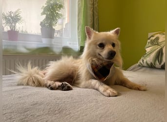 Eddy - lieber kleiner Bub