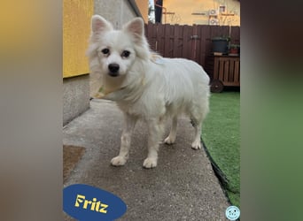 Fritz SR - gelassen, rüstiger Rentner