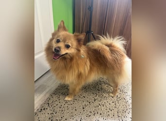 Milou SR - freundlich, aufgeschlossen 