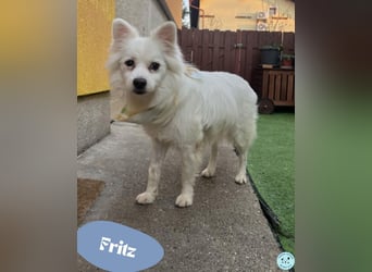 Fritz - gelassen, rüstiger Rentner