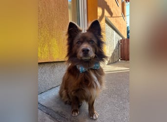 Timon SR - freundlich, gutherzig