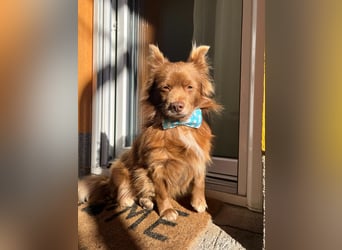 Timon SR - freundlich, gutherzig