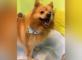 Milou SR - freundlich, aufgeschlossen 