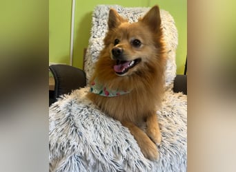 Milou SR - freundlich, aufgeschlossen 