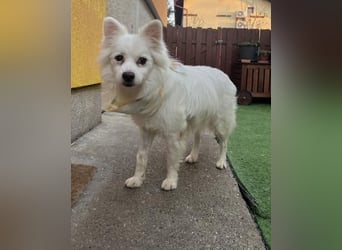 Fritz - gelassen, rüstiger Rentner