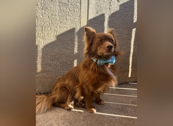 Timon SR - freundlich, gutherzig