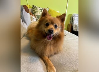 Milou SR - freundlich, aufgeschlossen 