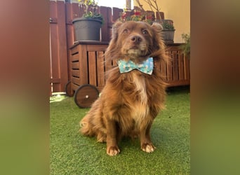 Timon SR - freundlich, gutherzig