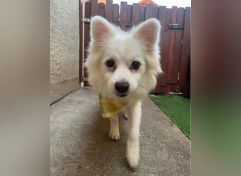 Fritz SR - gelassen, rüstiger Rentner