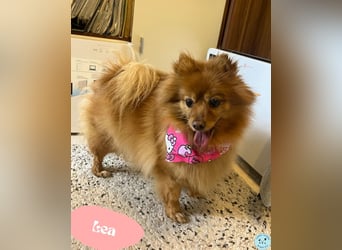 Lea SR - aufgeschlossen, lieb