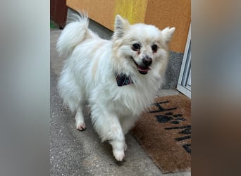 Momo SR - freundlich, aufgeschlossen 