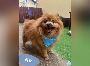 Eric SR - gemütlich, freundlich