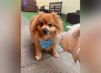 Eric SR - gemütlich, freundlich