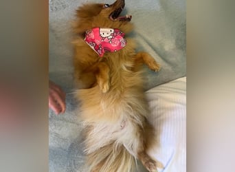 Lea SR - aufgeschlossen, lieb