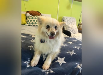 Momo SR - freundlich, aufgeschlossen 