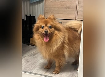 Lea SR - aufgeschlossen, lieb