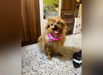 Lea SR - aufgeschlossen, lieb