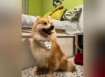 Kira SR - freundlich, aufgeschlossen