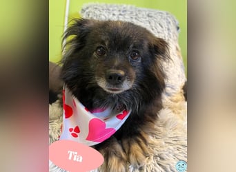 Tia - freundlich, aufgeschlossen 
