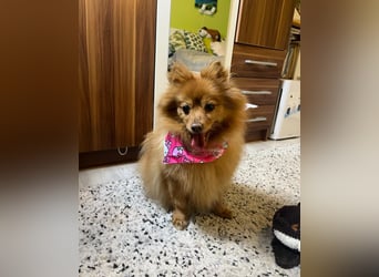 Lea SR - aufgeschlossen, lieb