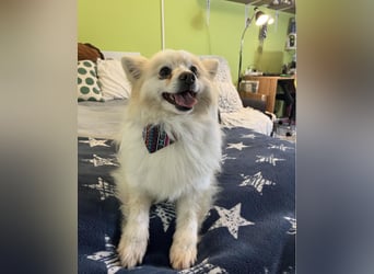 Momo SR - freundlich, aufgeschlossen 