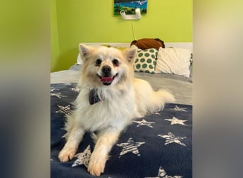 Momo SR - freundlich, aufgeschlossen 