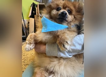 Eric SR - gemütlich, freundlich