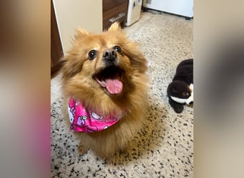 Lea SR - aufgeschlossen, lieb