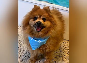 Eric SR - gemütlich, freundlich