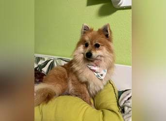 Kira SR - freundlich, aufgeschlossen