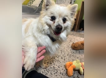 Momo SR - freundlich, aufgeschlossen 