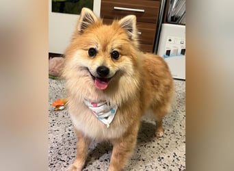 Kira SR - freundlich, aufgeschlossen