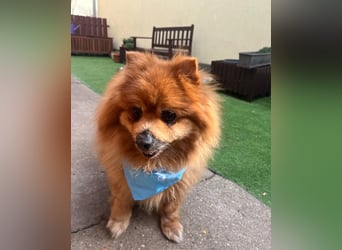 Eric SR - gemütlich, freundlich