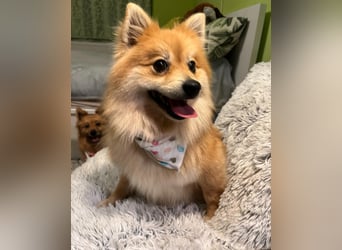 Kira SR - freundlich, aufgeschlossen