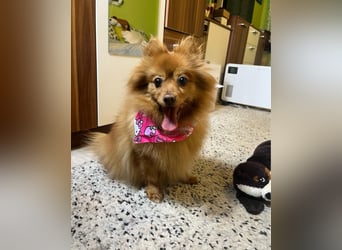 Lea SR - aufgeschlossen, lieb