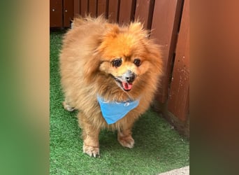 Eric SR - gemütlich, freundlich