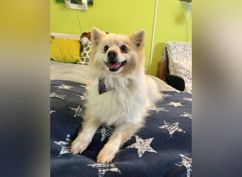 Momo SR - freundlich, aufgeschlossen 