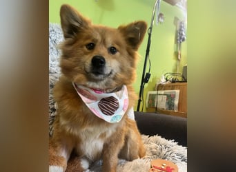 Dolly SR - freundlich, aufgeschlossen