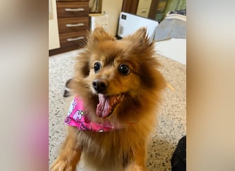 Lea SR - aufgeschlossen, lieb