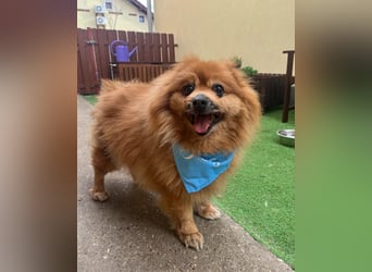 Eric SR - gemütlich, freundlich