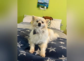 Momo SR - freundlich, aufgeschlossen 