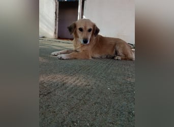 Megan – so still, so schön, so voller Liebe