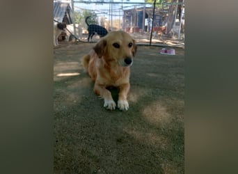 Megan – so still, so schön, so voller Liebe