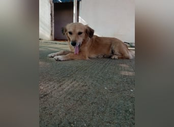 Megan – so still, so schön, so voller Liebe