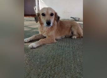 Megan – so still, so schön, so voller Liebe