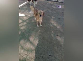 Megan – so still, so schön, so voller Liebe