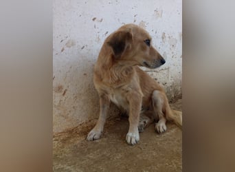 Megan – so still, so schön, so voller Liebe