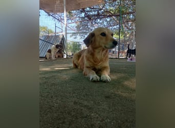 Megan – so still, so schön, so voller Liebe