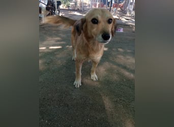 Megan – so still, so schön, so voller Liebe