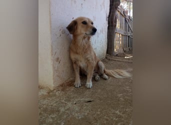 Megan – so still, so schön, so voller Liebe